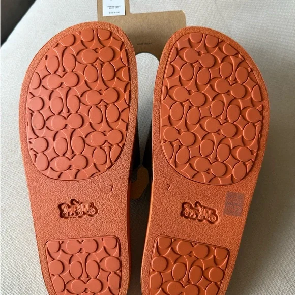 Coach Brown and Orange with Oranges Slide Sandals NWT - Picture 2 of 4
